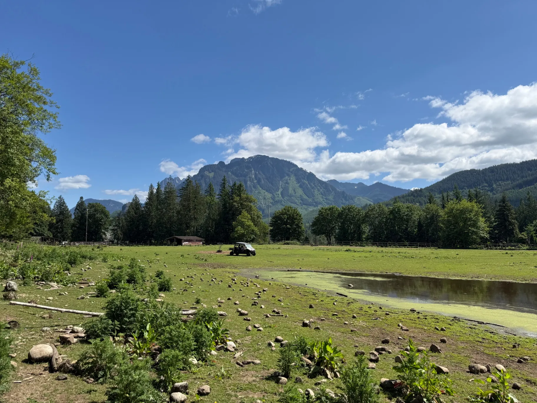 A green pasture at the ranch with the Cascade foothills rising behind