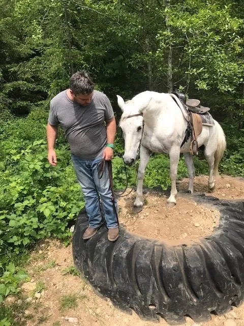 A resident doing groundwork with a grey horse on the ranch