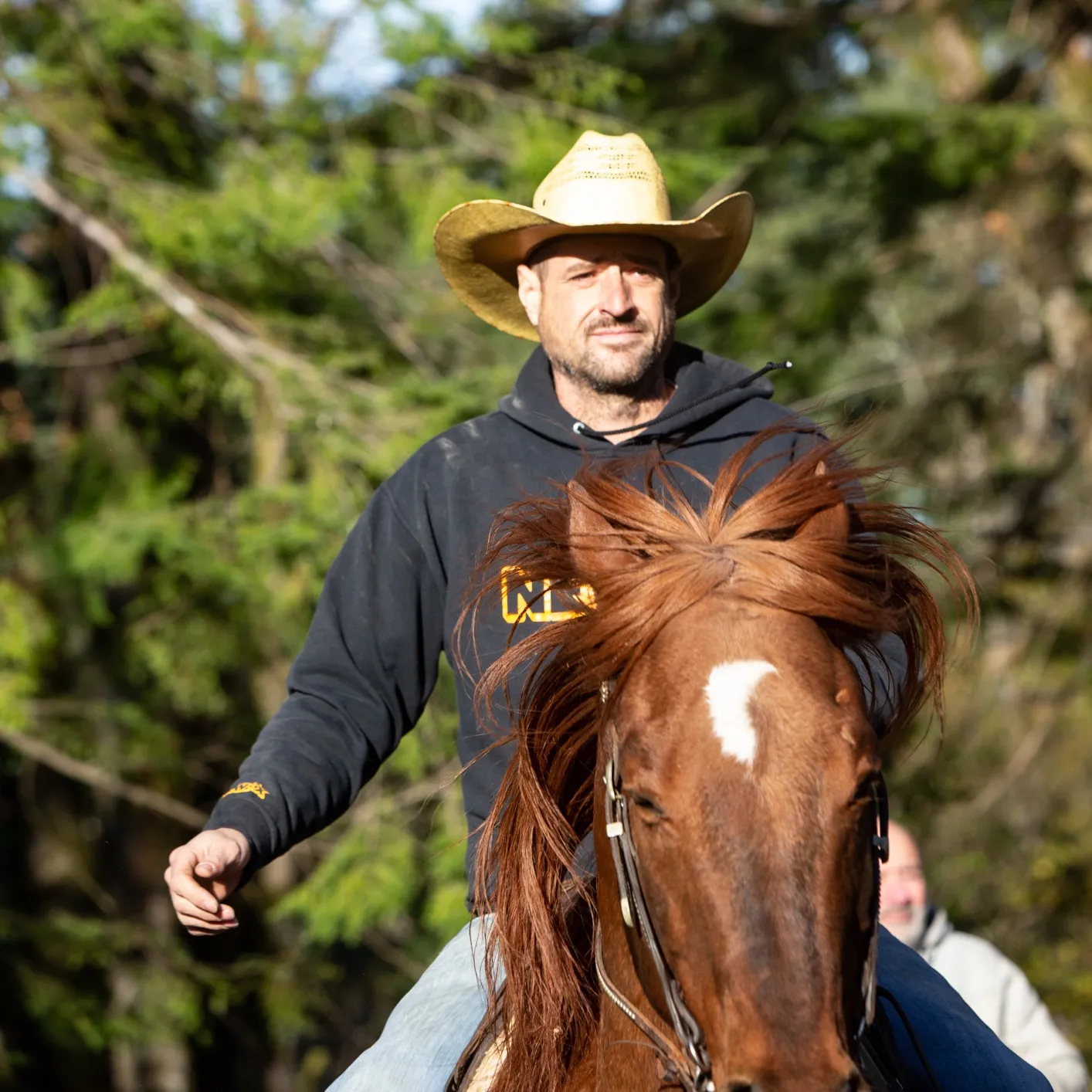 A resident in a cowboy hat riding a chestnut horse, its mane flying, evergreens behind