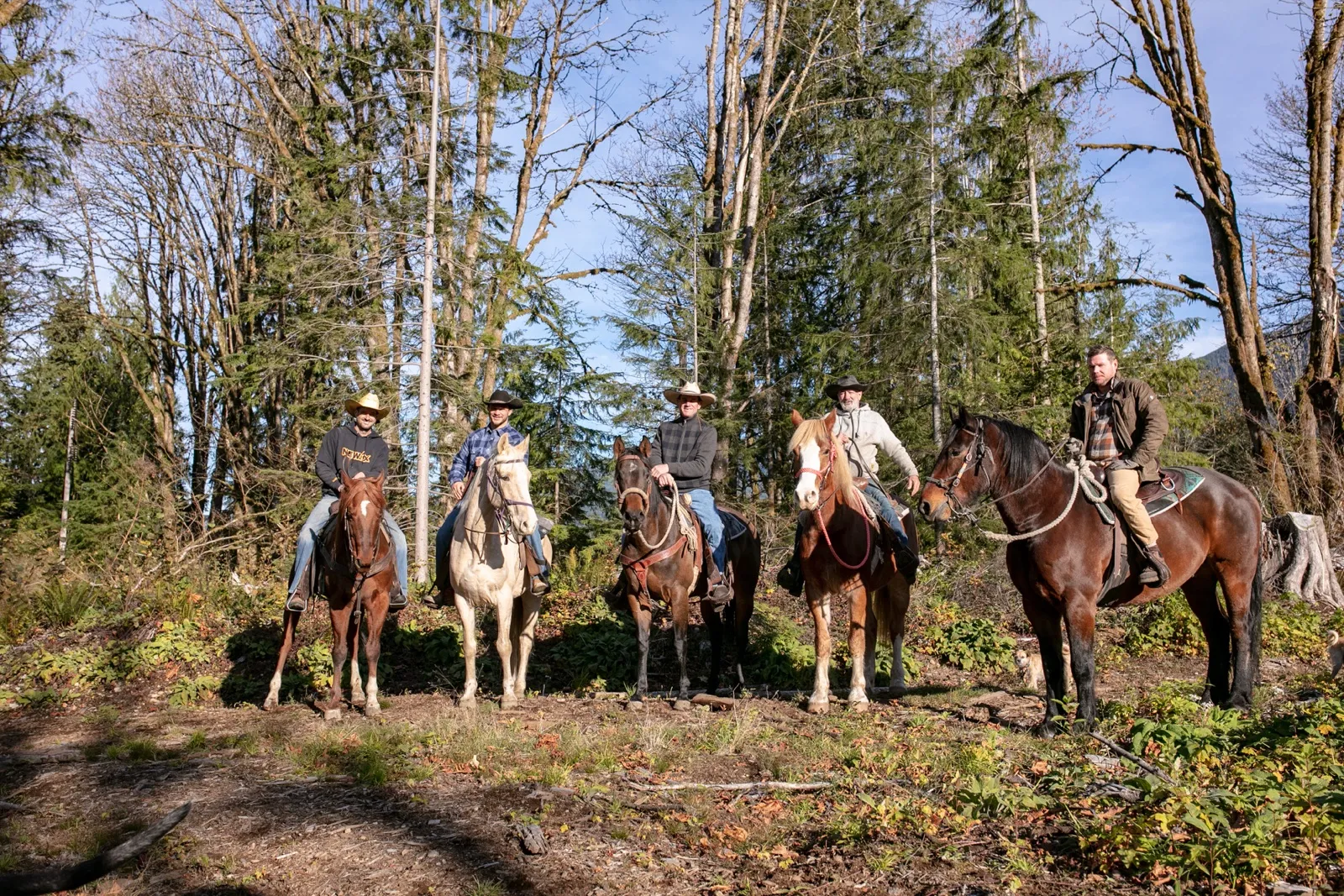 Five residents on horseback lined up along a forest trail at the ranch